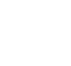 Camada 3 copiar 2